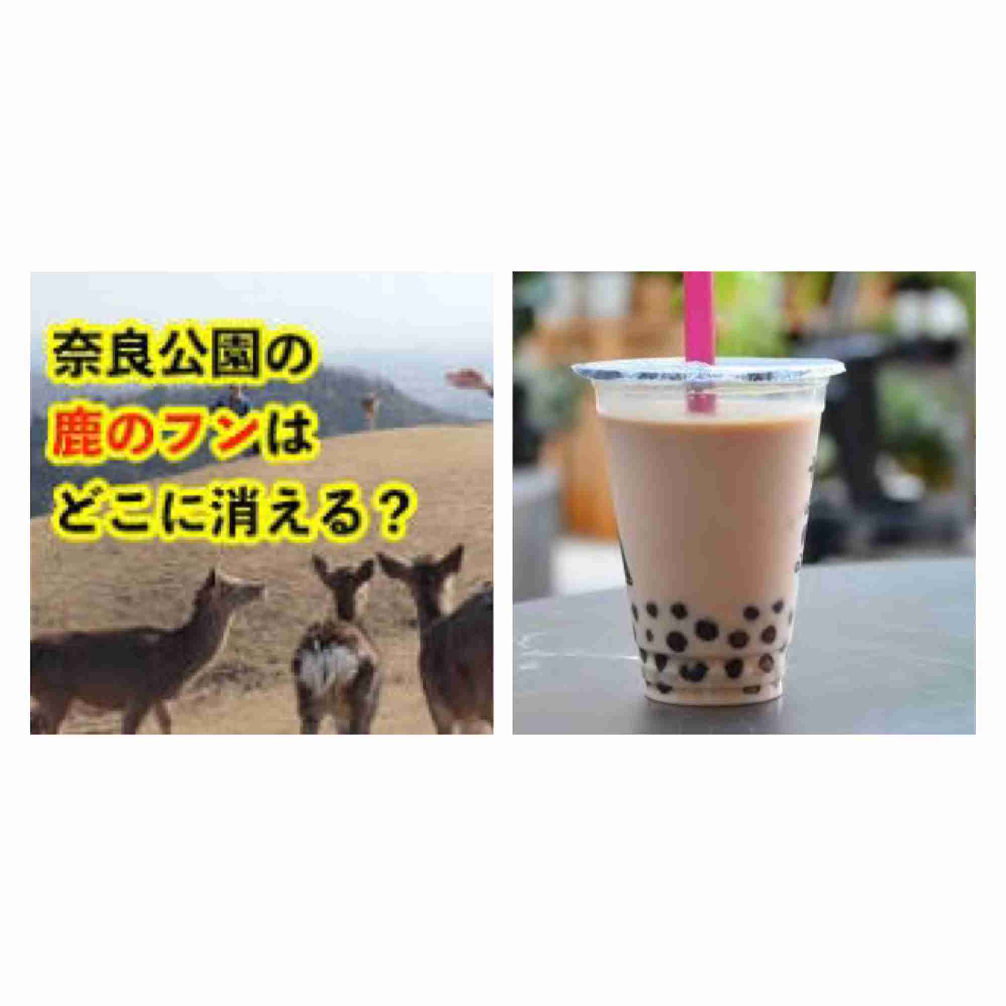 お気に入りの画像貼ってくトピ