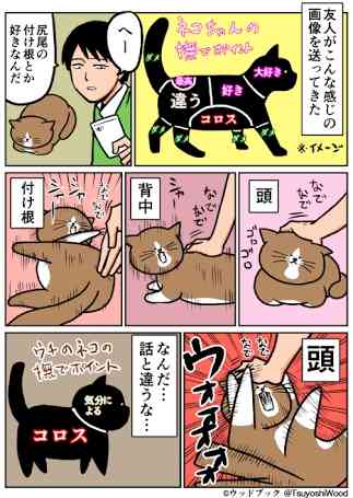 お気に入りの画像貼ってくトピ