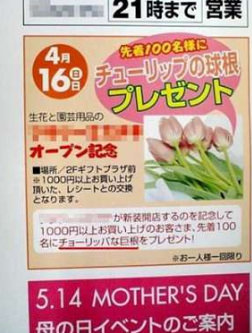 お気に入りの画像貼ってくトピ