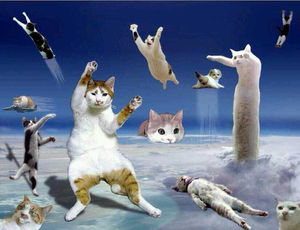 お気に入りの画像貼ってくトピ