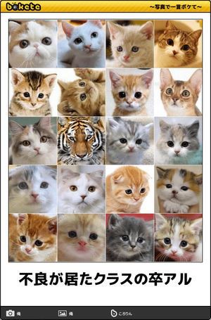 お気に入りの画像貼ってくトピ