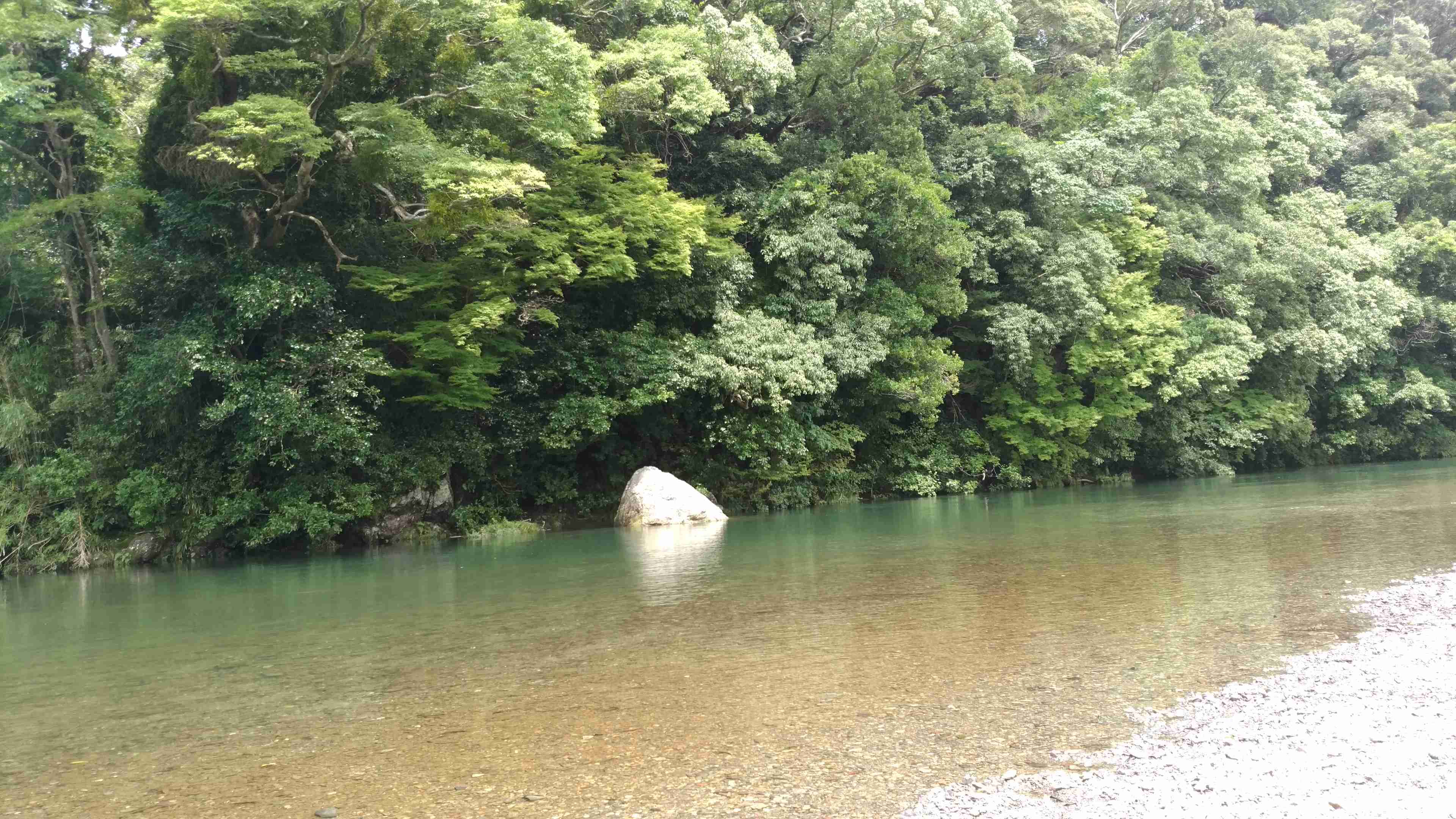 【気分だけでも！】夏の冷菓、画像＆コメントのトピ