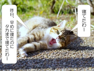 休日あるある