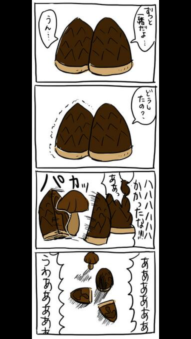 きのこ？たけのこ？