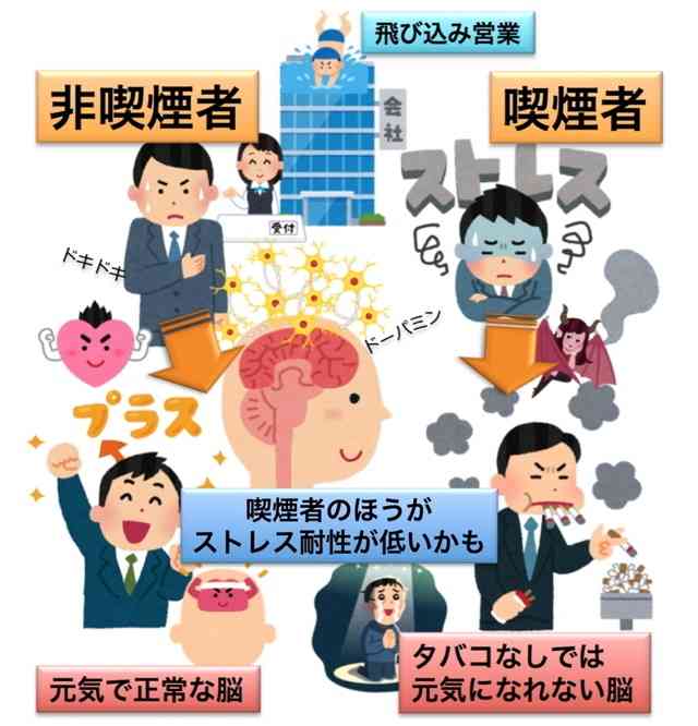 今時、煙草吸う女性（人）って古いのでしょうか?