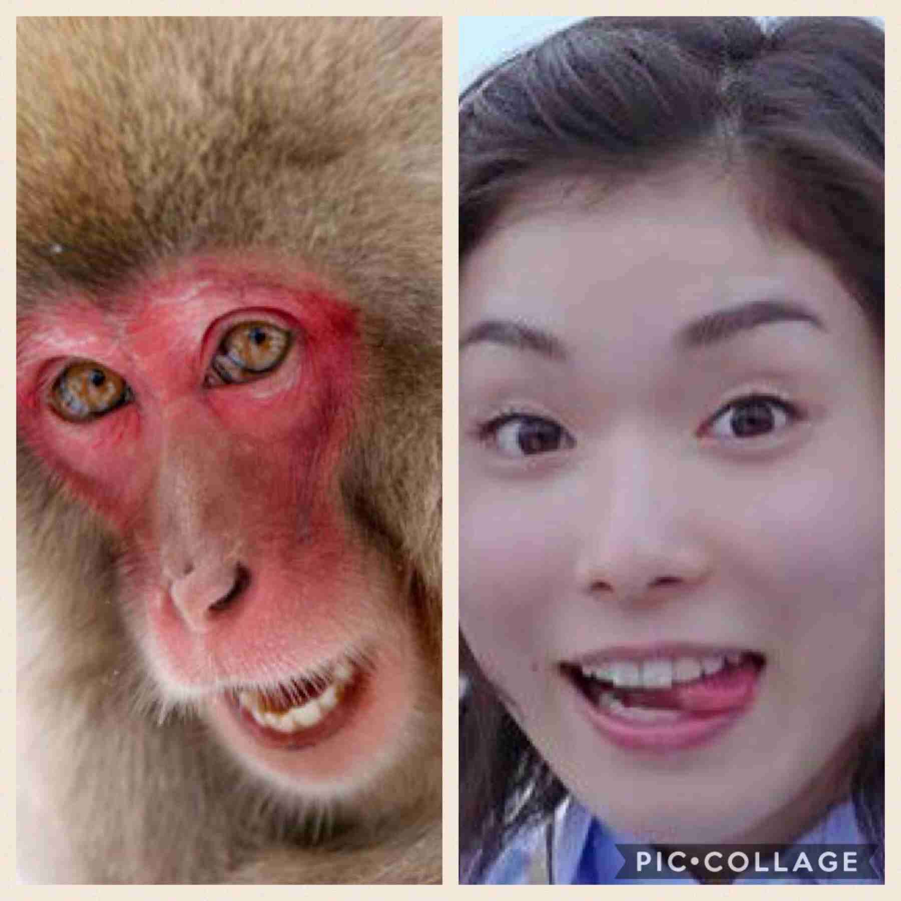 松岡茉優、期間限定でInstagramアカウントを開設！「インスタ開設うれしい!!」「ずっと続けてほしい…」