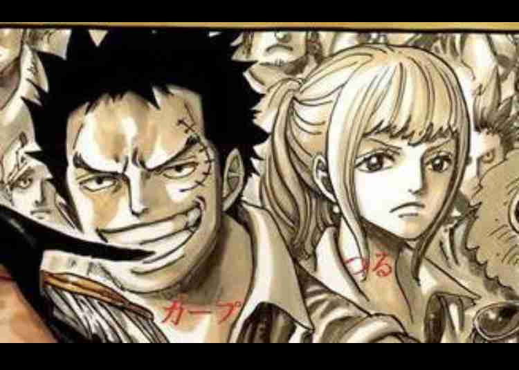 ワンピースキャラで付き合いたい人