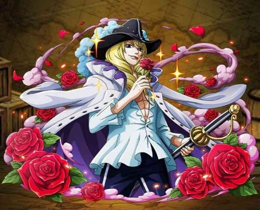 ワンピースキャラで付き合いたい人