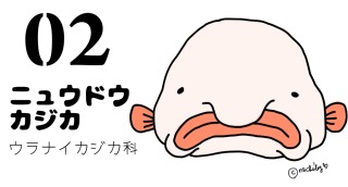 潮田玲子、長女が２歳誕生日迎え生後10日の２ショットを公開「めちゃくちゃ可愛い」など反響