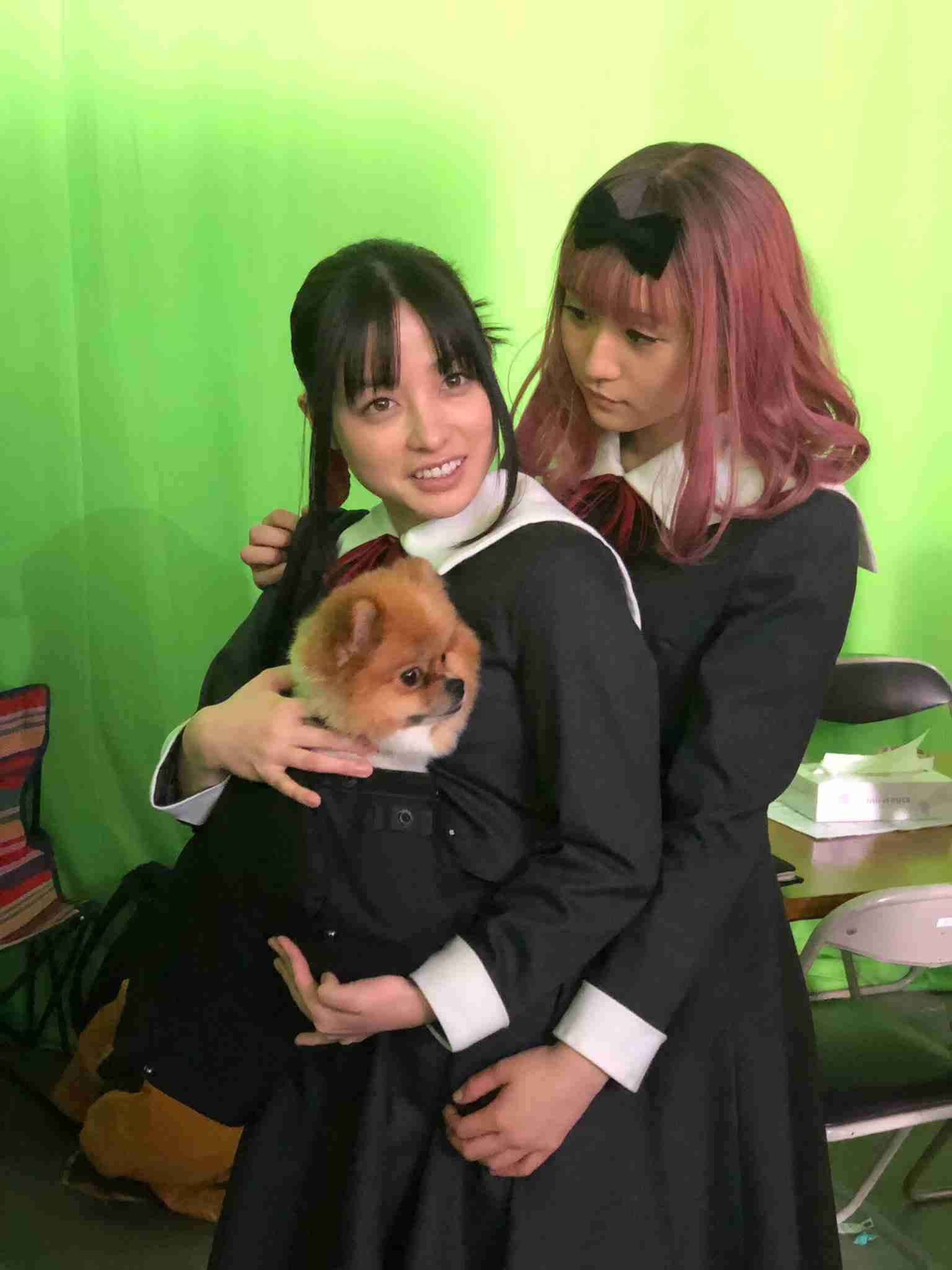 橋本環奈、主演映画ツイッターに名前を間違えられる痛恨ミス→本人がまさかの反応を...。