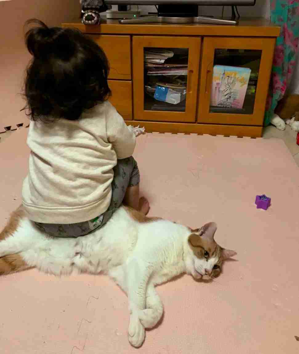 人生を前向きに考えれる言葉、画像など