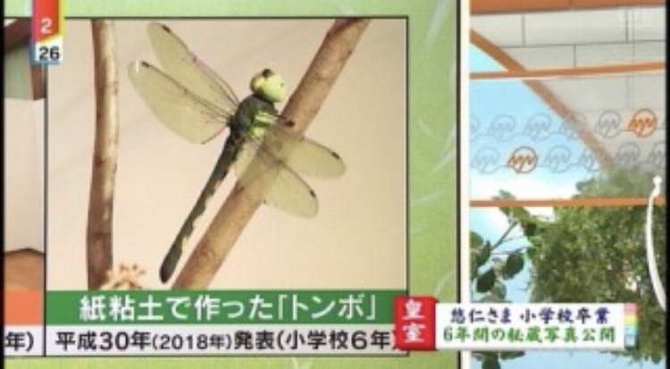 愛子さま 学習院大への進学決断!外部受験の説明会に出席せず