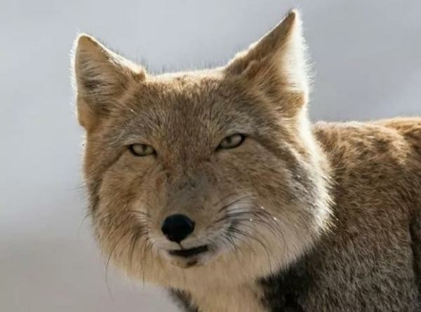 【なつぞら】第18週　なつよ、どうするプロポーズ