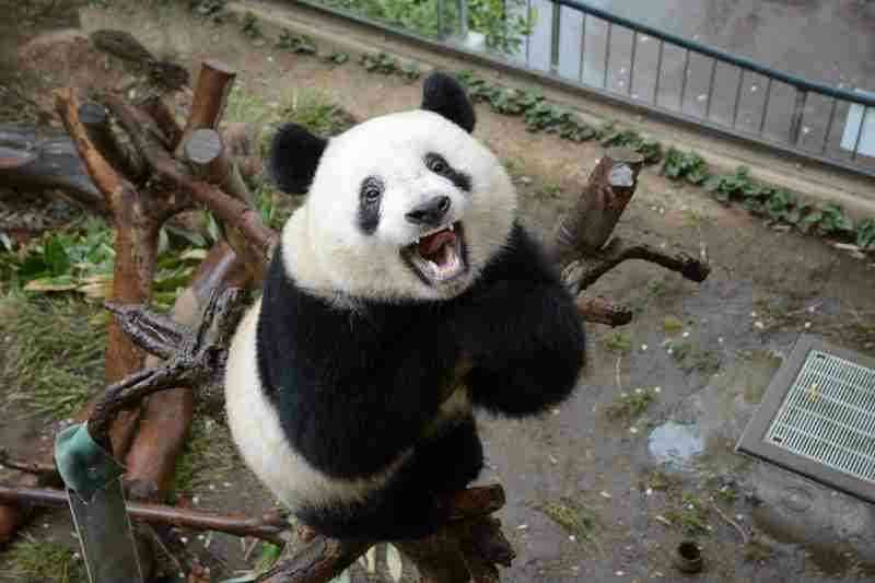 【なつぞら】第18週　なつよ、どうするプロポーズ