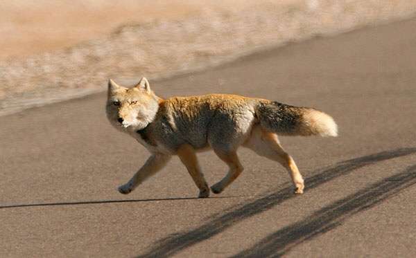 【なつぞら】第18週　なつよ、どうするプロポーズ