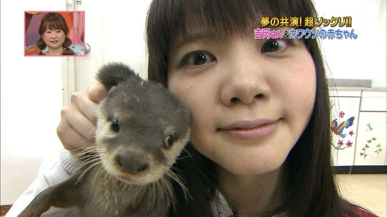 【なつぞら】第18週　なつよ、どうするプロポーズ