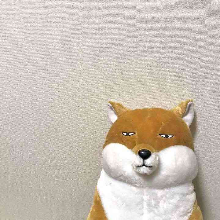 【なつぞら】第18週　なつよ、どうするプロポーズ