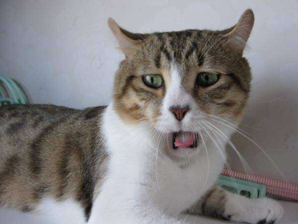 【なつぞら】第18週　なつよ、どうするプロポーズ