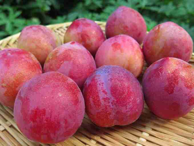 忘れた頃に食べたくなるもの、ありますか？