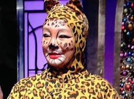 犬顔猫顔とは？