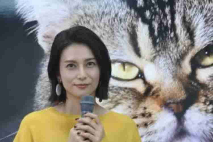 犬顔猫顔とは？