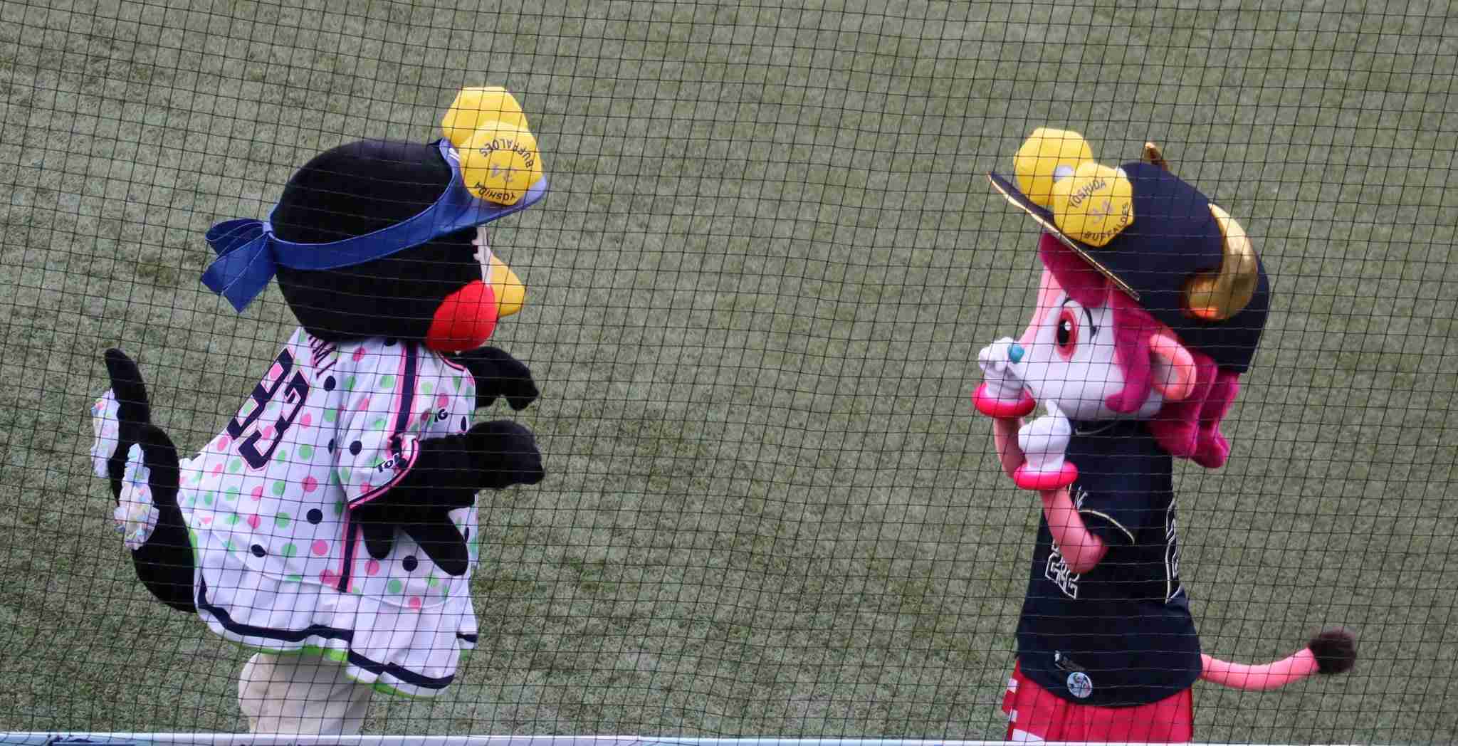 つば九郎とドアラを交互に貼り、時々 他球団マスコットが貼られるトピ
