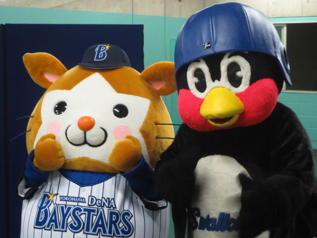 つば九郎とドアラを交互に貼り、時々 他球団マスコットが貼られるトピ