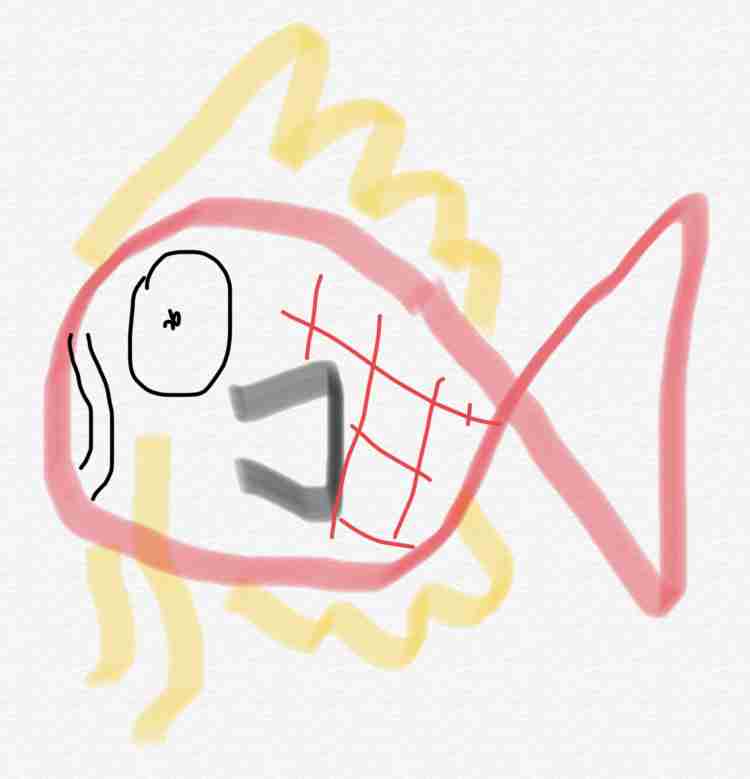 好きなポケモンを記憶だけで描いてみるトピ