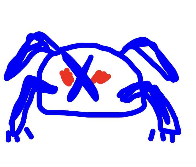 好きなポケモンを記憶だけで描いてみるトピ