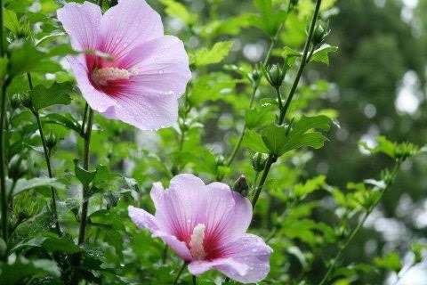 韓国を「ホワイト国」から除外 閣議決定、規制第2弾