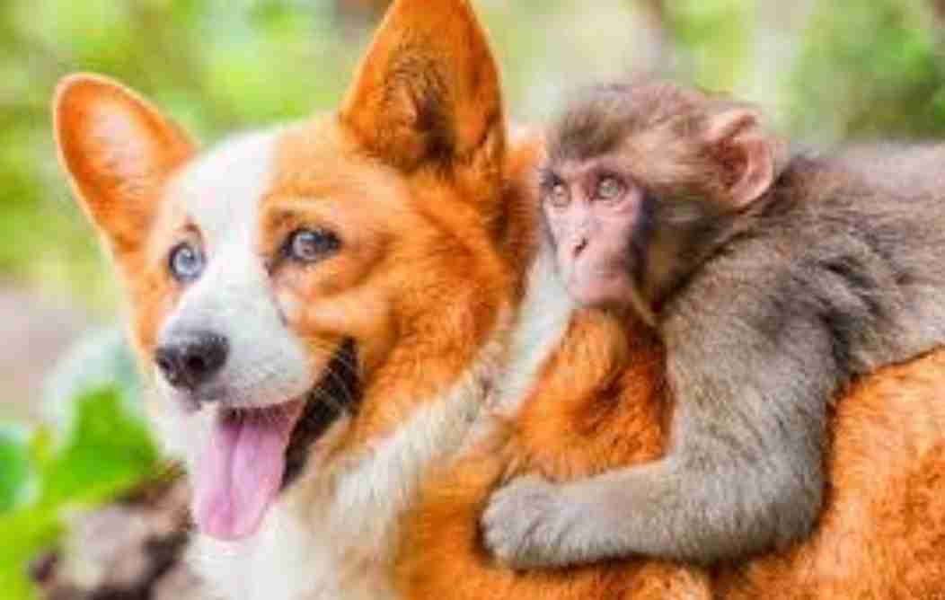 韓国を「ホワイト国」から除外 閣議決定、規制第2弾