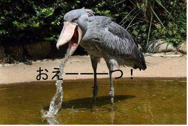 韓国を「ホワイト国」から除外 閣議決定、規制第2弾