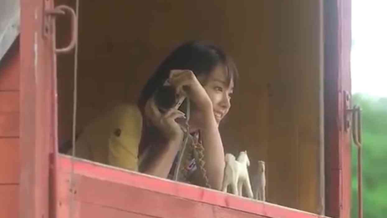 【画像】色んな新垣結衣が見たい