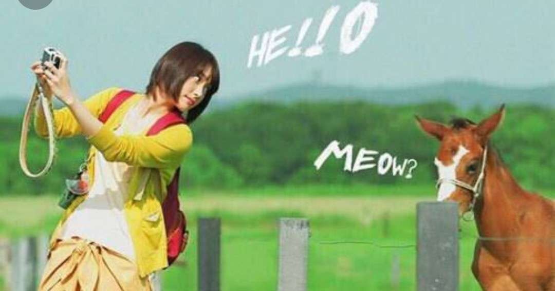 【画像】色んな新垣結衣が見たい