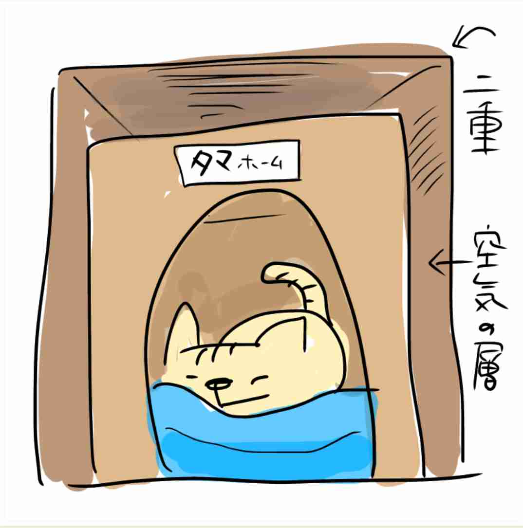 ペットの熱中症対策