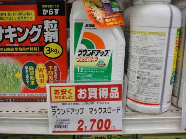 遺伝子組み換え・ゲノム編集について