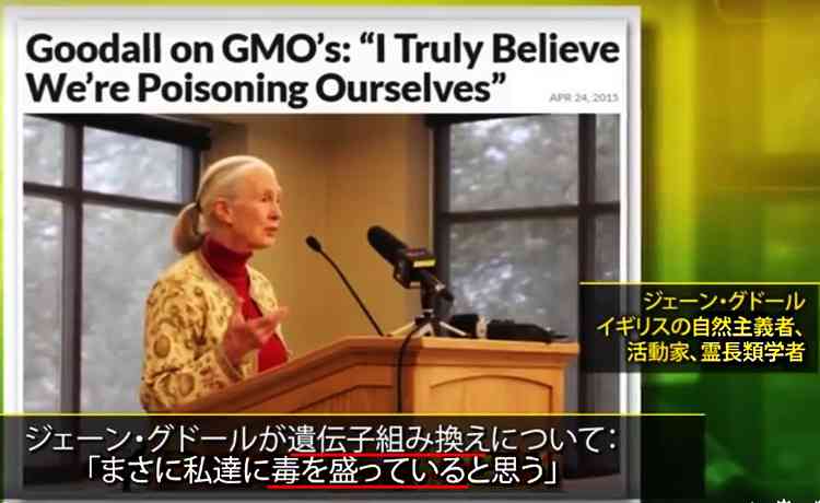 遺伝子組み換え・ゲノム編集について