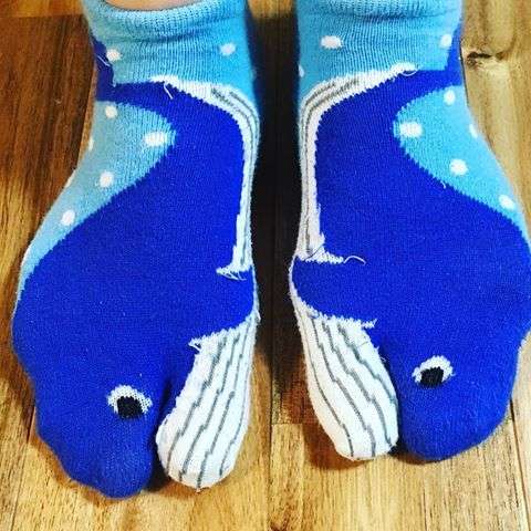 大人の靴下事情