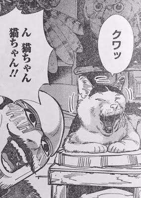 ヤマネコではありません。メインクーンでもありません。体重約12キロの巨大猫の姿にネットがどよめく