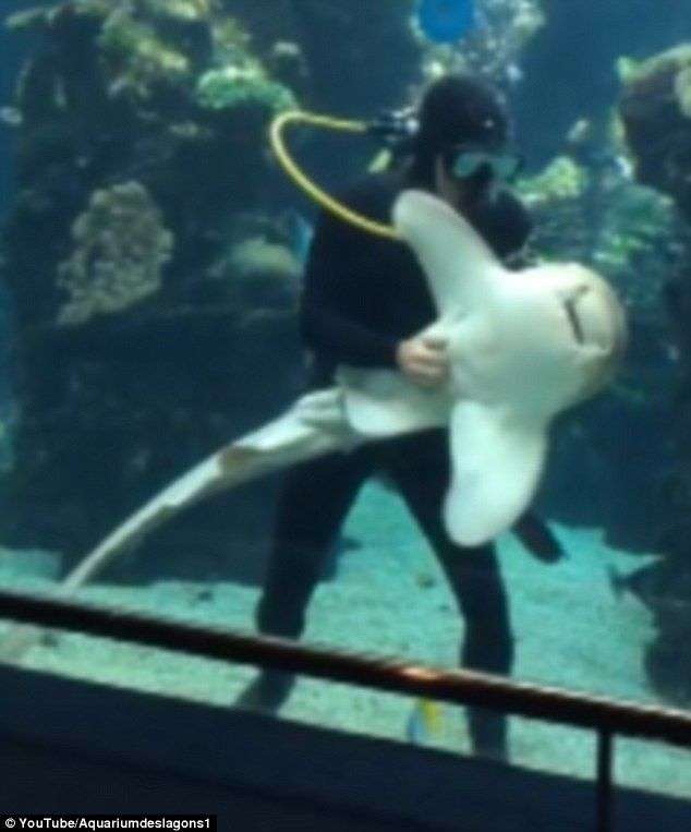 なんとも言えない表情の動物画像ください