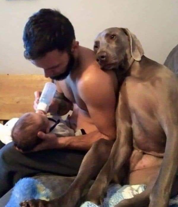 なんとも言えない表情の動物画像ください