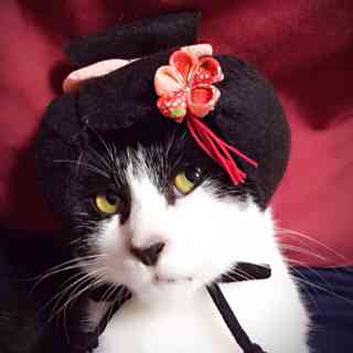 なんとも言えない表情の動物画像ください