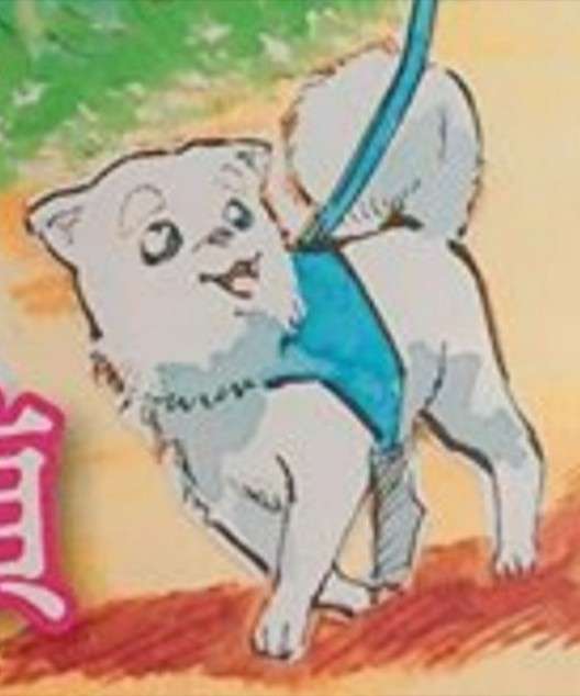 なんとも言えない表情の動物画像ください