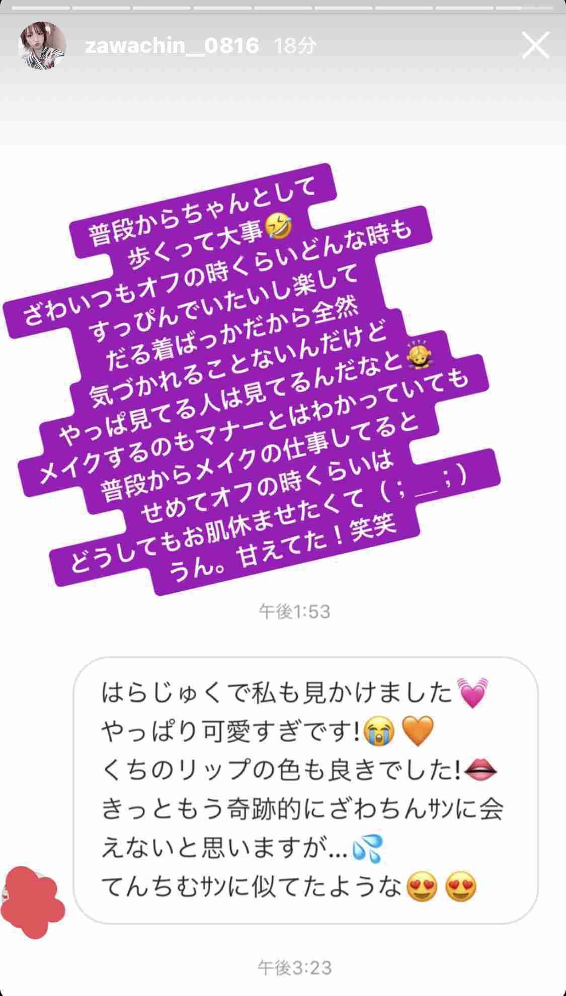 ざわちん、映像での顔面が