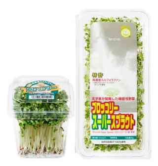 ストックしている野菜