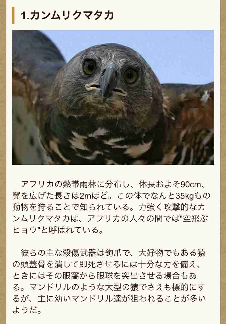 キャンプ場で行方不明の女児 写真公開 山梨県警