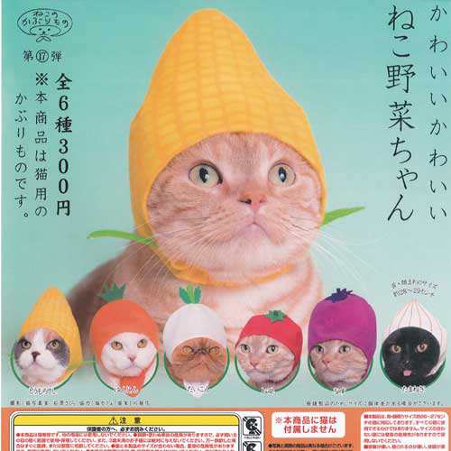 色んなガチャガチャが見たい！！