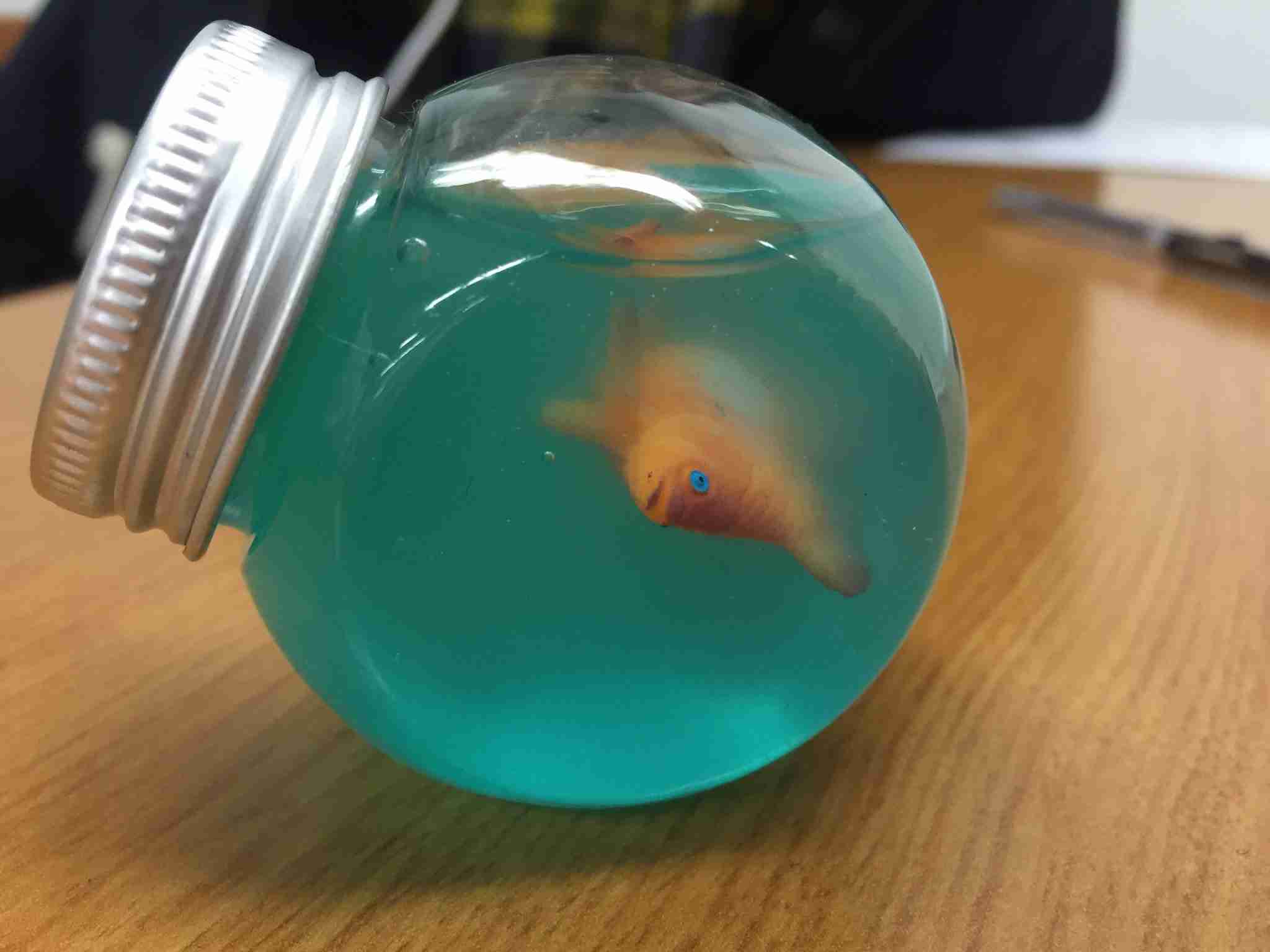 色んなガチャガチャが見たい！！