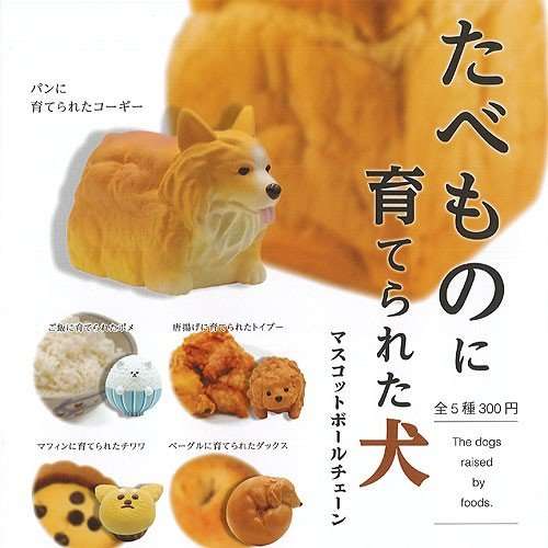 色んなガチャガチャが見たい！！