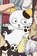 うちのタマ知りませんか？：擬人化アニメのビジュアル公開　タマやポチの“獣耳”キャラが大集合